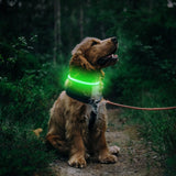 1 x Brand New LMLMD LED Dog Collar, USB Rechargeable, Glowing Pet Dog Collar for Night Safety, Fashion Light Up Dog Collar for Small Medium Large Dogs GREEN - RRP €11.6