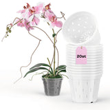 1 x RAW Customer Returns Garden lux set of 20 orchid pots transparent D11cm H8cm - plastic orchid pots with holes - mesh pot for orchids for indoor use - 0.55L - RRP €17.65