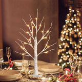 1 x RAW Customer Returns EAMBRITE LED light tree 60 cm light branches 24 LEDs light branches inside snow tree battery operated interior decoration warm white for Christmas, Easter, wedding, birthday - RRP €18.54