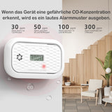 1 x RAW Customer Returns Carbon monoxide detector with LCD display, replaceable battery CO sensor - portable alarm detector for home travel - 10 years protection battery included  - RRP €19.15