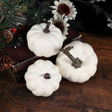 2 x Brand New Holibanna Foam Pumpkins White Artificial Styrofoam Pumpkins for Halloween Thanksgiving Props 12pcs - RRP €40.8