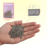 1 x RAW Customer Returns huruirui 1 10mm Small Nails Iron Nail Photo Nails for Photo Hanging Woodworking DIY Furniture Decorative Nails Small Silver 500pcs - RRP €7.72