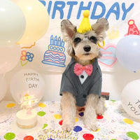 1 x Brand New IECOii Dog Tuxedo Suit with 2 Neckerchiefs with Bow Tie, Dog Wedding Outfit for Small Medium and Large Dogs, Pet Dog Costume Halloween Christmas Birthday Party Dog Clothes Costume - RRP €20.4