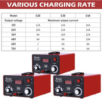 1 x RAW Customer Returns Beleeb Series C30 battery charger 12V 24V 36V 48V 60V 72V car battery charger, pulses of high voltage battery desulfator maintainer for lead acid lithium ion batteries - RRP €169.4