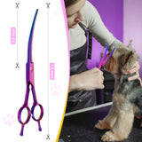 1 x RAW Customer Returns JASON Professional Curved Dog Scissors - 7.5 Grooming Scissors for Dogs Japanese Stainless Steel Pet Scissors for Grooming Scissors for Dogs Cats Upward Curved, Purple  - RRP €29.99