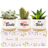 18 x Brand New Valentine s Day Flower Pot Gift for Her Wife, Succulent Pot Birthday Gift for Girlfriend Wife, I Love You Gifts for Women, Ceramic Cactus Flower Pots Valentine s Day Gift - RRP €367.2