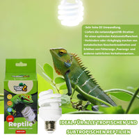 1 x RAW Customer Returns LUCKY HERP UVB lamp terrarium 5W, mini UVA UVB reptile lamp 5.0 30 UVA 5 UVB , bird lamp UVB 150 for reptiles, turtles, parrots, lizards, snakes - RRP €17.14