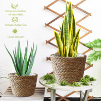 3 x Brand New Hillylolly Seagrass Planter, Hand Woven Flower Basket, Indoor Straw Flower Pot, Seagrass Basket, Flower Pot Basket, Plant Basket, Flower Basket 3 Packs  - RRP €86.97