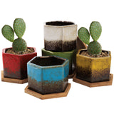 1 x RAW Customer Returns TOPZEA Set of 5 Ceramic Succulent Flower Pots, 10.7cm Glazed Cactus Pots, Geometric Mini Flower Plant Container with Drainage Hole and Bamboo Tray for Home and Office Decoration - RRP €25.68