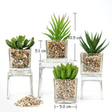 1 x RAW Customer Returns Briful Artificial Plant Artificial Succulent Plant Houseplant Decorative Living Room Bathroom Decorative Plant Succulent Height 8 cm in a Glass Pot Set of 3 - RRP €20.16