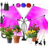 1 x RAW Customer Returns Niello Plant Lamp LED, Plant Light 80 LEDs Plant Light Growth Lamp Grow Light Full Spectrum with 10 Levels, 3 Modes, 4 Heads Growth Lamp with Timer for Gardening - RRP €25.99