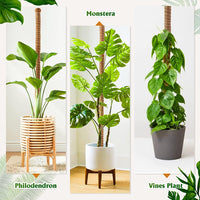 1 x RAW Customer Returns AIQII 2 Pack 160 cm Moss Stick Plant Stick Monstera Trellis Flexible Moss Stick Monstera Stick Plant Stick Monstera for Climbing Plants Plant Name Planting Time Plant Support - RRP €15.12