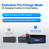 1 x RAW Customer Returns YZPOWER 14.6V 20A Charger for 12V Lifepo4 Lithium Battery, 12V Smart Battery Charger for Forklift, RV, 12V Car Lead Acid Battery Charging - RRP €81.62