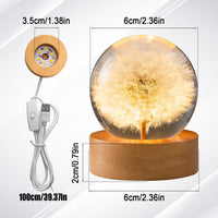 1 x RAW Customer Returns Night Light, Crystal Ball, 6cm Glass Ball Lamp with Wooden Base, LED Light Base, USB Charging Flower Sample Night Lamp with Stand Dandelion  - RRP €24.79