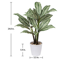 1 x RAW Customer Returns Briful 63CM Artificial Plants Calathea Ornata Decorative Tropical Artificial Plant Large in Pot Decoration Living Room Office Hotel - RRP €40.33