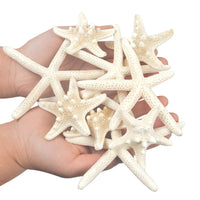 1 x RAW Customer Returns Jangostor 12pcs Starfish 5-15cm Mixed Starfish Natural Shells Starfish Star Fish Shells Decorations Perfect for Wedding Decor Beach Theme Party, Home Decorations, DIY Crafts - RRP €12.99