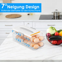 1 x RAW Customer Returns CRROEL Egg Holder for Refrigerator, Egg Box for 28-32 Eggs, Clear Double Layer Type Egg Storage Rack with Handle, Portable Egg Storage Box with Lid, Rolldown Egg Organizer - RRP €18.98