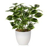 1 x RAW Customer Returns Briful 2PCS Artificial Plant Like Real Artificial Ficus Plants in Pot Small Decorative Plant for Windowsill Living Room Bathroom Decoration - RRP €25.2