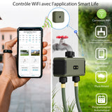 1 x RAW Customer Returns Irrigation computer WLAN 2 outputs, Diivoo Smart App Wireless irrigation system with remote control and Wi-Fi hub, WiFi 2.4GHz with app voice control - RRP €76.63