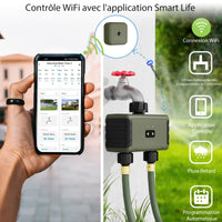 1 x RAW Customer Returns Irrigation computer WLAN 2 outputs, Diivoo Smart App Wireless irrigation system with remote control and Wi-Fi hub, WiFi 2.4GHz with app voice control - RRP €70.81