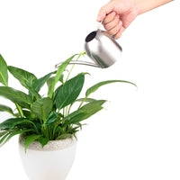 1 x RAW Customer Returns IMEEA 450ml watering cans, brushed watering can, stainless steel flower watering cans, watering for houseplants, bonsai for balcony, garden, office, living room silver  - RRP €22.99