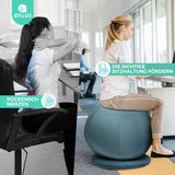 1 x RAW Customer Returns ENOVI ProfiBalance Sitting Ball Office Ergonomic with Chair Covers, Stability Ring Base, for Office and Home, Improve Balance, Core Strength and Posture, Relieve Back Pain, 65cm, FG - RRP €60.49