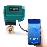 1 x RAW Customer Returns 1 2 Intelligent Motorized Ball Valve - App Mobile Remote Controlled Brass Electric Ball Valve with Manual Switch, 5V DC USB Port, G Thread - RRP €80.66