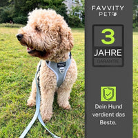 2 x RAW Customer Returns FAVVITY PET Dog Harness for Small Medium and Large Dogs - Padded Reflective Anti Pull Choose the harness for your dog now Black medium dog M  - RRP €50.32