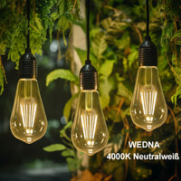 1 x RAW Customer Returns WEDNA E27 LED vintage light bulb, 8W 4000K neutral white LED lamp, ST64 Edison antique bulb, 1100lm, transparent glass, not dimmable, nostalgic and retro lighting, pack of 4 - RRP €23.99