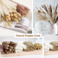 1 x RAW Customer Returns Pack of 120 Dried Pampas Grass, Natural Brown White Pampas Grass Fluffy Fronds Lagurus and Reed Flower Dried Flowers 44cm Bouquet Dried Flowers Home Decor - RRP €13.88