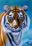 1 x Brand New Sugamm 5D Diamond Painting Kit Tiger Round Full Drill Set, DIY Diamond Painting Pictures Animal Crystal Embroidery Cross Stitch Home Bedroom Office Wall Decoration 30x40 cm A - RRP €20.4