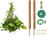 1 x RAW Customer Returns AIQII 2 Pack 160 cm Moss Stick Plant Stick Monstera Trellis Flexible Moss Stick Monstera Stick Plant Stick Monstera for Climbing Plants Plant Name Planting Time Plant Support - RRP €15.12