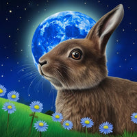 1 x Brand New Pavemlo Diamond Painting Set Accessories Rabbit, DIY 5D Diamond Embroidery Painting Kits Planet Animals, Full Drill Crystal Set Rhinestone Embroidery Pictures DIY Diamond Painting for House Wall Decoration 30x30cm - RRP €20.4