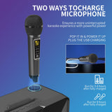 1 x RAW Customer Returns Portable Karaoke Machine, Karaoke with 30W Bluetooth Speaker, 2 Wireless Karaoke Microphones, Rechargeable Microphone Slot, PA System Complete Set for Home Party, Church, Picnic, Outdoor - RRP €101.22