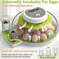 1 x RAW Customer Returns DETODDA fully automatic incubator, incubator for chickens with LED lighting, fully automatic incubator with temperature and humidity control, automatic egg turner green 18 eggs  - RRP €98.81