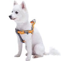 3 x Brand New Mixed domestic animal - RRP €61.2