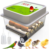 1 x RAW Customer Returns Okk bi OBI-12 Incubator 12 eggs for chickens, ducks and others NEW 2024 Automatic rotation Temperature control Humidity indicator Integrated egg candle 5 YEAR WARRANTY - RRP €79.97