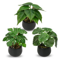 1 x RAW Customer Returns Briful set of 3 artificial plants like real artificial houseplants decorative plants for living room bathroom decoration, height approx. 15 cm, in a black ceramic pot - RRP €24.19