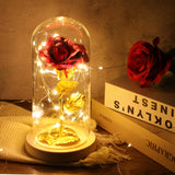 1 x RAW Customer Returns ADAZ Gifts for Women, Eternal Rose in Glass with LED Light, Mother s Day Gifts for Mom Beauty and the Beast Rose Gift for Girlfriend Wife on Anniversary Christmas Valentine s Day - RRP €25.78