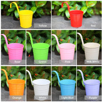 1 x RAW Customer Returns KAHEIGN 10Pcs Metal Hanging Flower Pots, 10cm Flower Pots Plant Pots Hanging Flower Bucket Plant Top Sand Bucket with Removable Hook for Balcony Fence Garden 10 Colors  - RRP €20.64