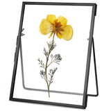 1 x RAW Customer Returns REDHUGO Pressed Flower Frames, Glass Floating Frame for Displaying Dried Plant Specimen Pictures, Hanging Brass Picture Frame with Chain, Double Clear Glass, Vintage Wall Decor, Rectangle - RRP €19.98