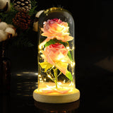 1 x RAW Customer Returns PPLONG-GE Roses Beauty and Animal Rose Set in Glass Dome LED Lights Artificial Flowers Rose Mother Gifts for Mom Gift for Grandma Women Birthday Valentine s Day Mother s Day Wedding We - RRP €21.17