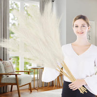 1 x RAW Customer Returns wintfarm 7 pieces 100 cm artificial pampas grass decoration large, dried flower bouquet XXL artificial bouquet, boho decoration for wedding living room bedroom beige  - RRP €20.16