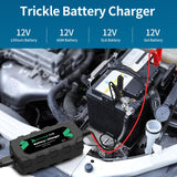 1 x RAW Customer Returns 12V LiFePO4 lithium battery charger, RoyPow 3A drip charger with crocodile clip and ring clamp - RRP €36.99