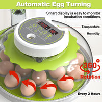 1 x RAW Customer Returns DETODDA fully automatic incubator, incubator for chickens with LED lighting, fully automatic incubator with temperature and humidity control, with automatic egg turner - green 18 eggs - RRP €93.77