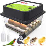 1 x RAW Customer Returns Okk bi OBI-12 Incubator 12 eggs for chickens, ducks and others NEW 2024 Automatic rotation Temperature control Humidity indicator Integrated egg candle 5 YEAR WARRANTY - RRP €69.97