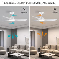 1 x RAW Customer Returns CJOY ceiling fan with lighting, 107 cm ceiling fan with lighting and remote control, quiet, DC motors, dimmable, 6 wind speeds - RRP €155.99