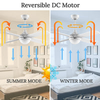 1 x RAW Customer Returns Ovlaim 122CM ceiling fan with LED lighting and remote control, quiet, energy-saving DC motor, 6 speed, 3 color temperature light, timer, suitable for summer and winter updraft and downdraft - white - RRP €159.95