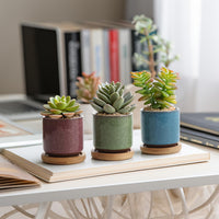 1 x RAW Customer Returns T4U 6.3cm Ceramic Succulent Pots Cactus Plant Pots Mini Flower Pots ICE Crack Higher Series 6 Colors Set with Saucer - RRP €20.45