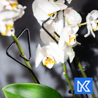 1 x RAW Customer Returns KADAX flower support, 10 pieces, plant support made of steel, height 50 cm, decorative support rods for orchids, flowers, plants, houseplants, flowerpot, climbing aid, climbing rods triangle  - RRP €20.16